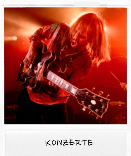 konzerte polaroid.jpg