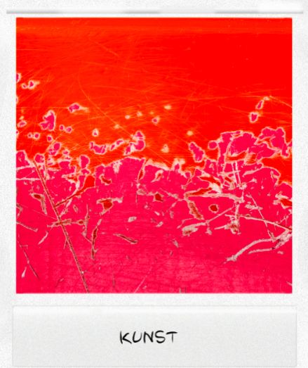 kunst polaroid.jpg